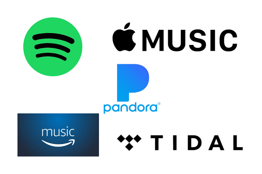 Stream Music Throughout Your Whole House